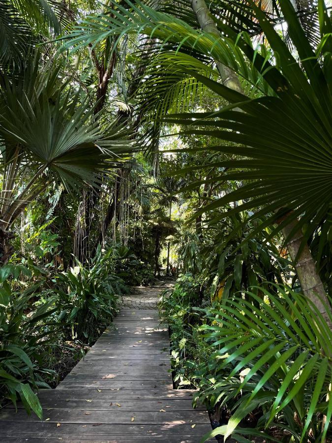 Villa Jardin Secreto Centro Holistico à Acapulco Extérieur photo