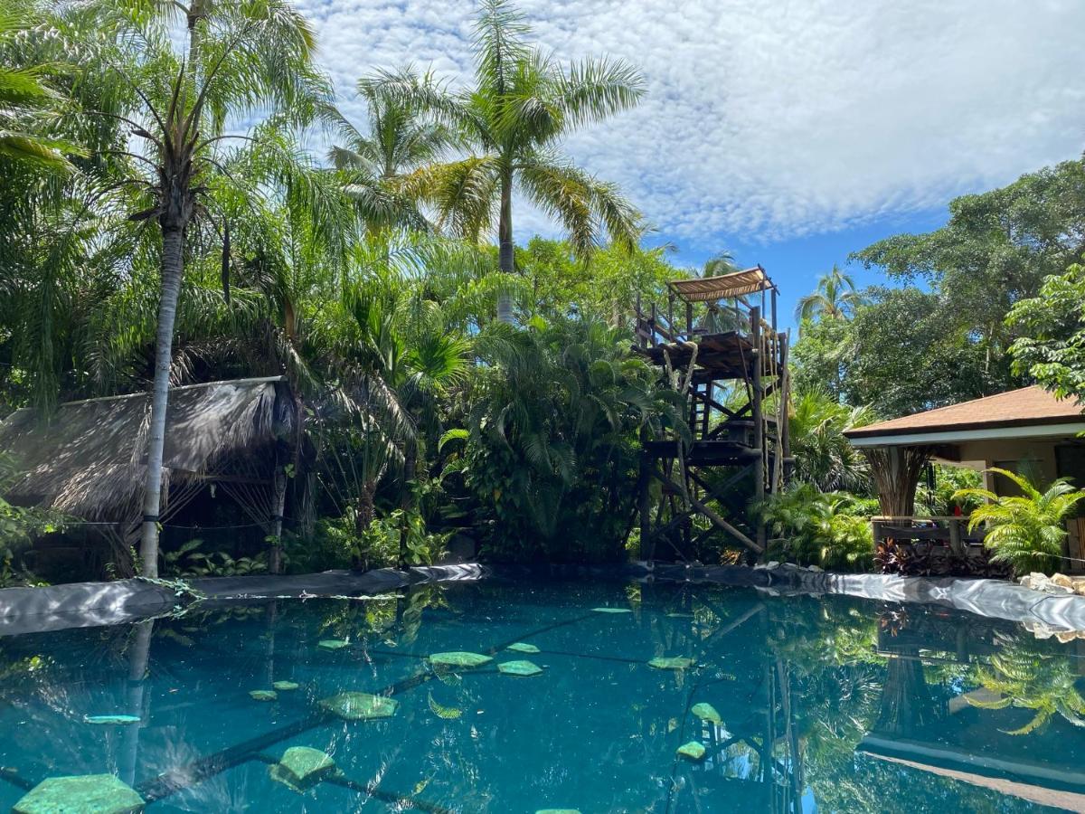 Villa Jardin Secreto Centro Holistico à Acapulco Extérieur photo
