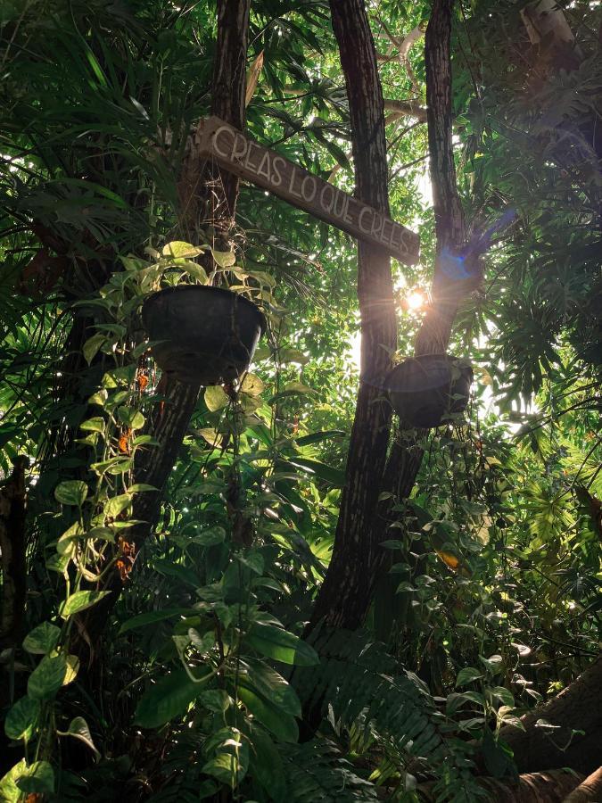 Villa Jardin Secreto Centro Holistico à Acapulco Extérieur photo