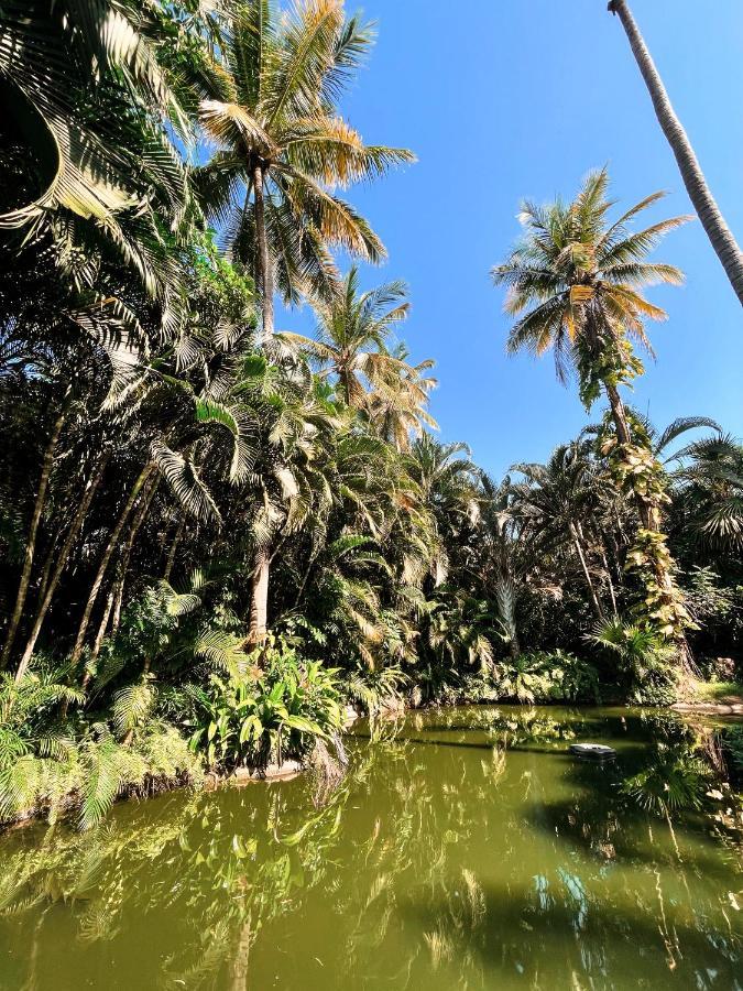 Villa Jardin Secreto Centro Holistico à Acapulco Extérieur photo