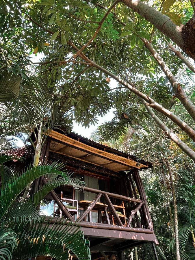 Villa Jardin Secreto Centro Holistico à Acapulco Extérieur photo